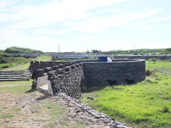 東湖村白馬公園（白馬坡）