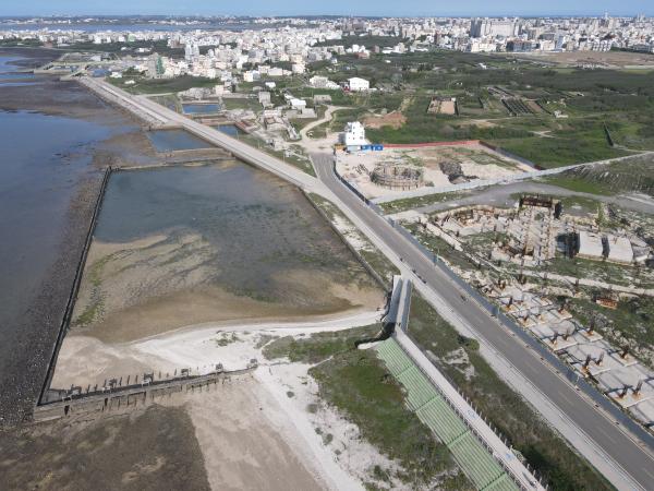 2021草樹仔尾及周圍記錄