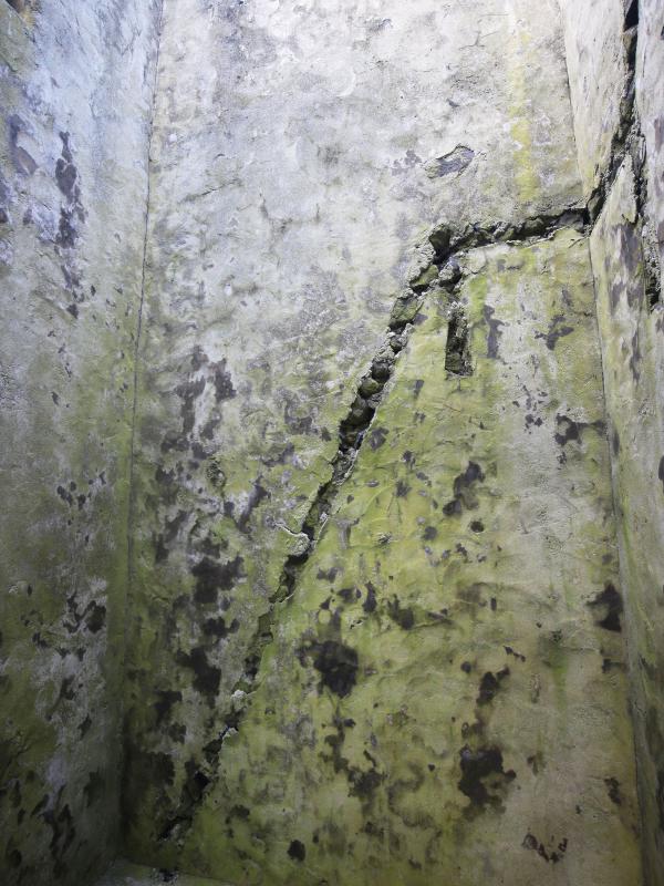 2021東吉防備衛所記錄