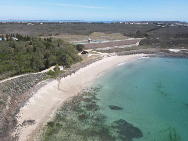 2021網垵記錄（乾潮）