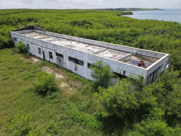 2021白沙海園記錄