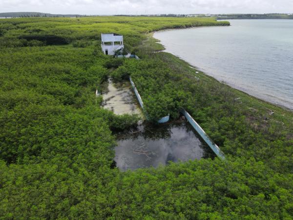 2021白沙海園記錄