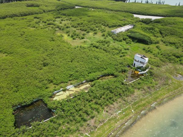 2021白沙海園記錄