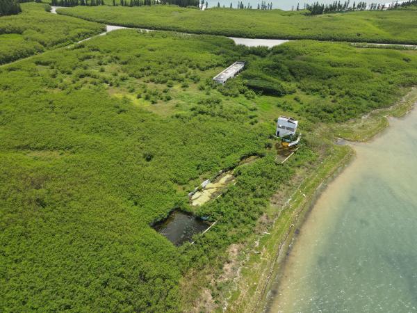 2021白沙海園記錄