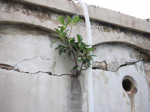 2021馬公水道第6號井倉房記錄