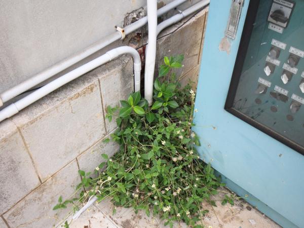 2021馬公水道第6號井倉房記錄