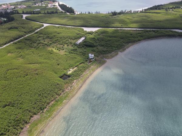 2021白沙海園記錄