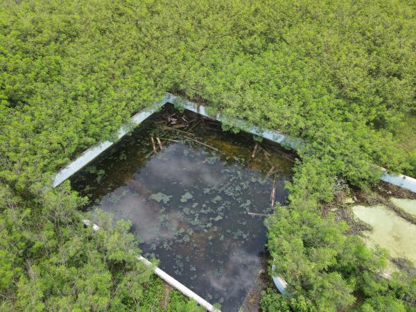 2021白沙海園記錄