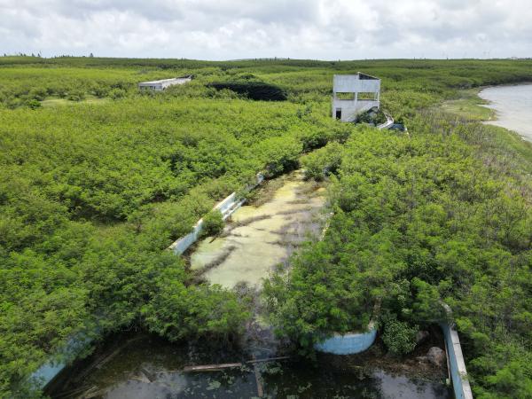 2021白沙海園記錄