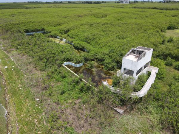 2021白沙海園記錄