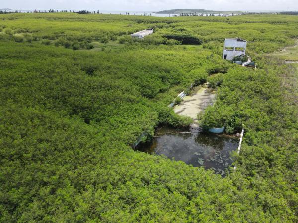 2021白沙海園記錄