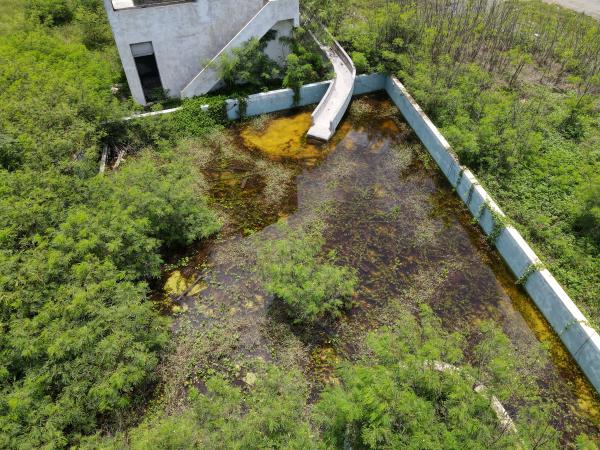 2021白沙海園記錄