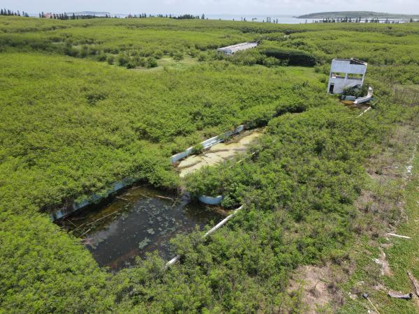 2021白沙海園記錄