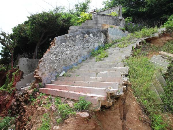 2021觀音寺後花園記錄