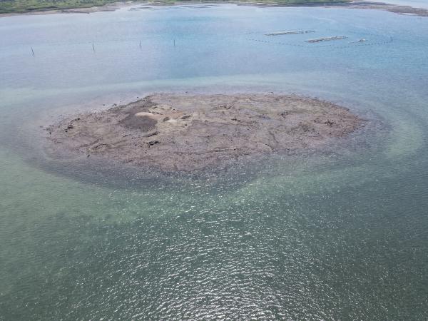 2021菜園塭仔記錄