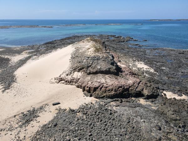 2021大白沙嶼記錄