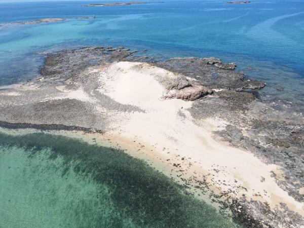 2021大白沙嶼記錄