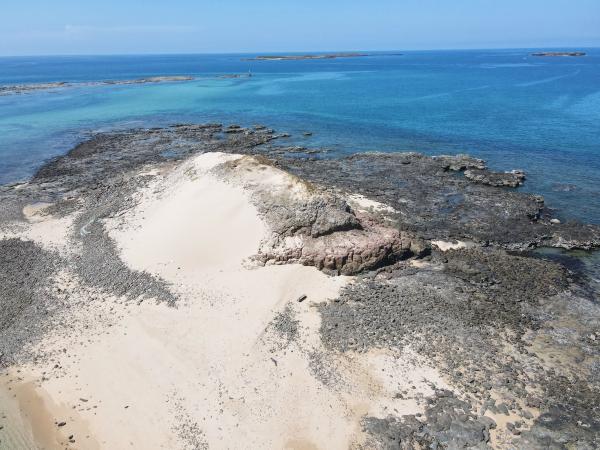 2021大白沙嶼記錄