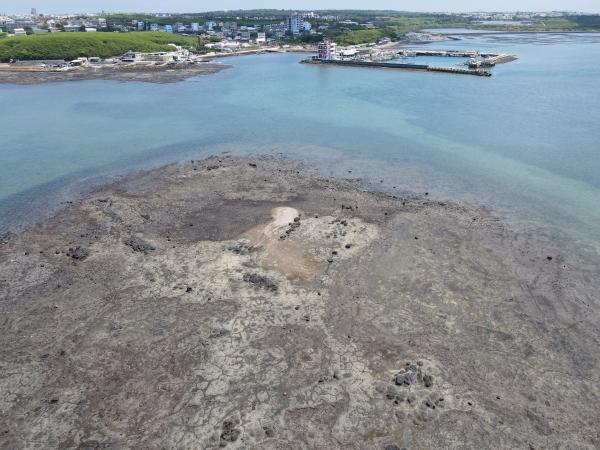 2021菜園塭仔記錄