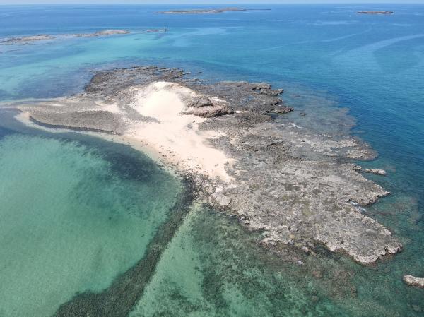 2021大白沙嶼記錄