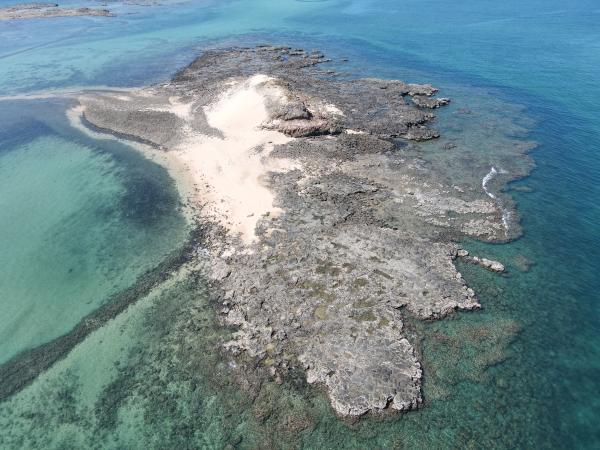 2021大白沙嶼記錄