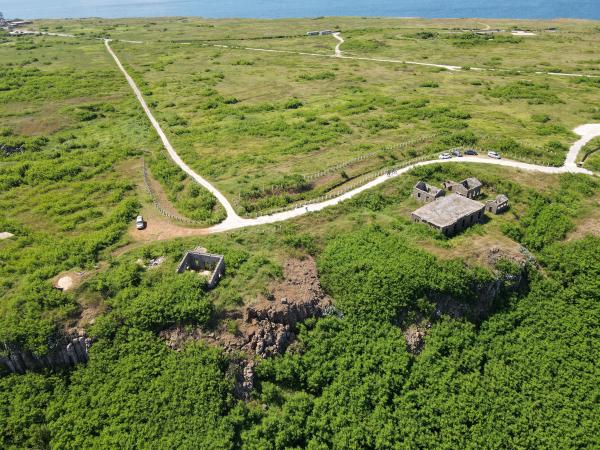 2021屹仔尾水雷衛所記錄