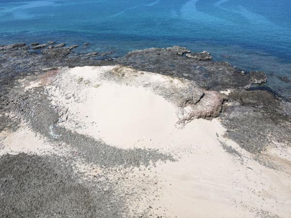 2021大白沙嶼記錄