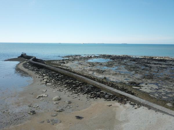 2020後寮天堂路記錄