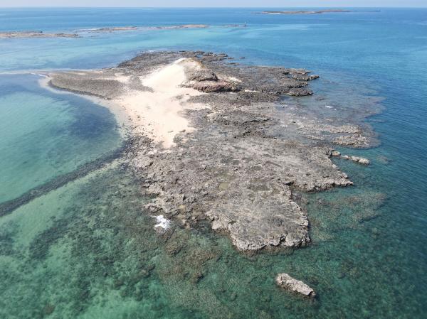 2021大白沙嶼記錄