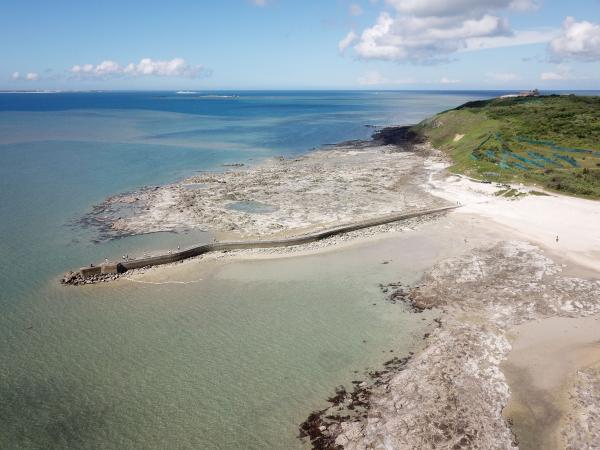 2020後寮天堂路記錄