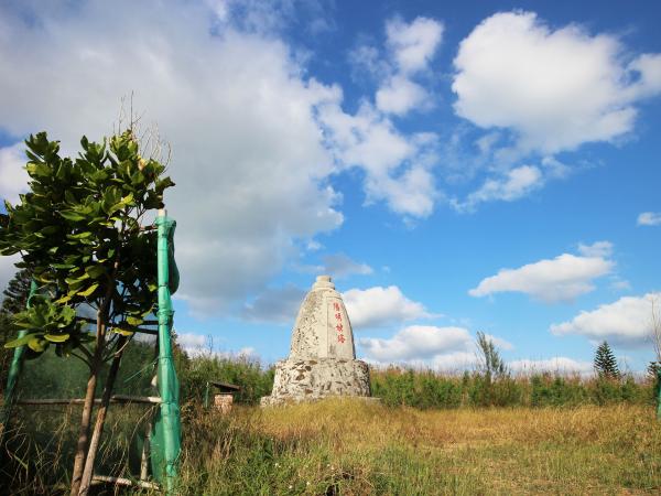 2021陽明妙塔記錄