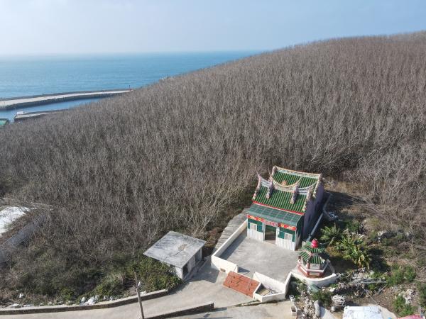 2022夫人媽廟記錄