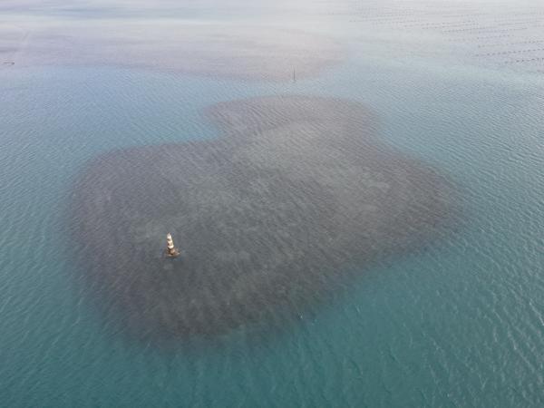 2022大滬尾洲記錄