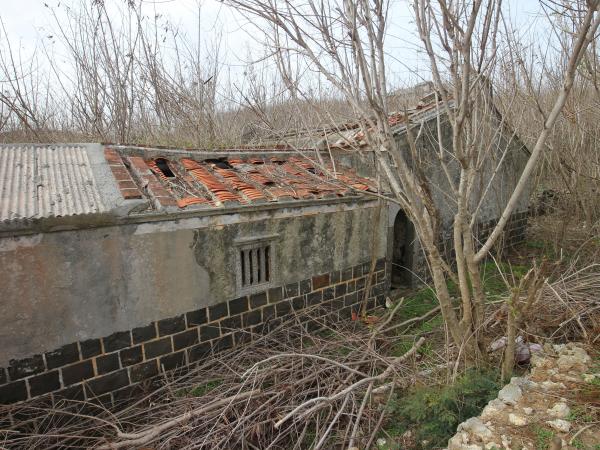 2022赤馬趙氏古宅記錄