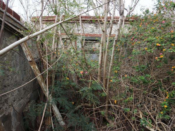 2022赤馬趙氏古宅記錄