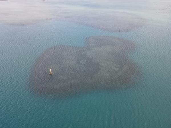 2022大滬尾洲記錄