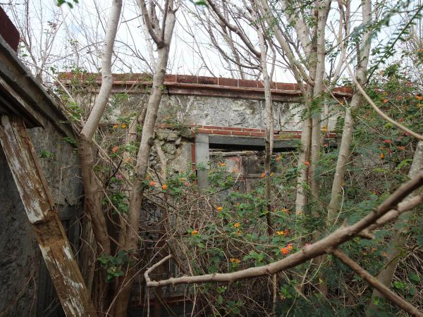 2022赤馬趙氏古宅記錄