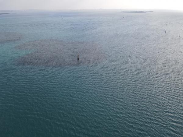 2022大滬尾洲記錄