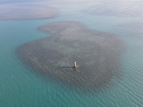 2022大滬尾洲記錄