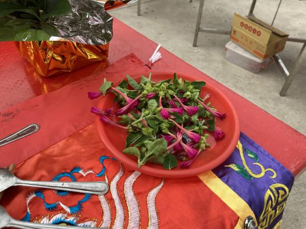 2022朱王廟普渡記錄