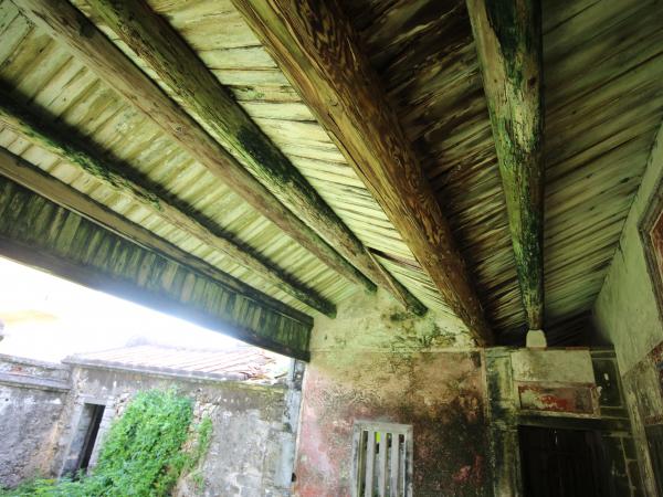 2022辛家古宅記錄