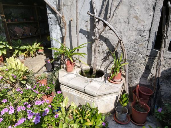 2022吳玉樹古宅記錄