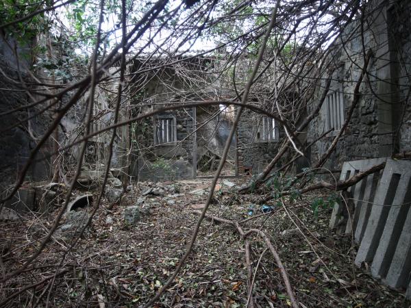 2022隘門洪氏古宅記錄