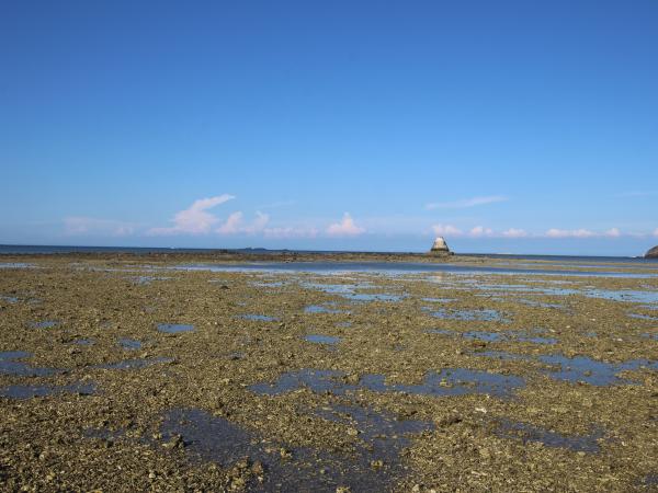 2018白坑村塔記錄