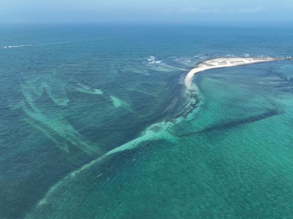 2023番黍仔尾嶼記錄