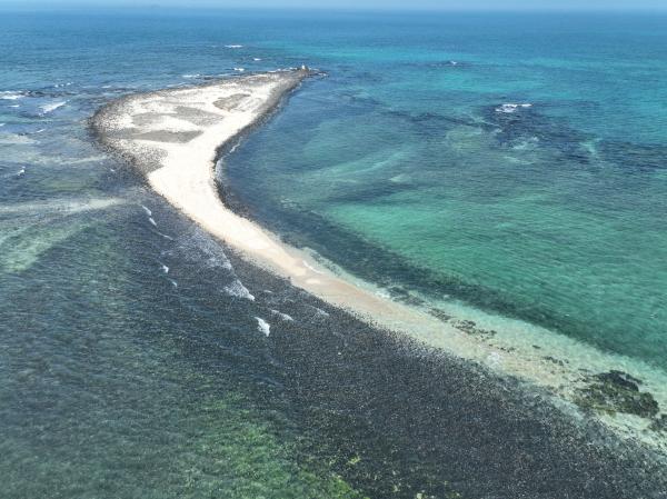 2023番黍仔尾嶼記錄