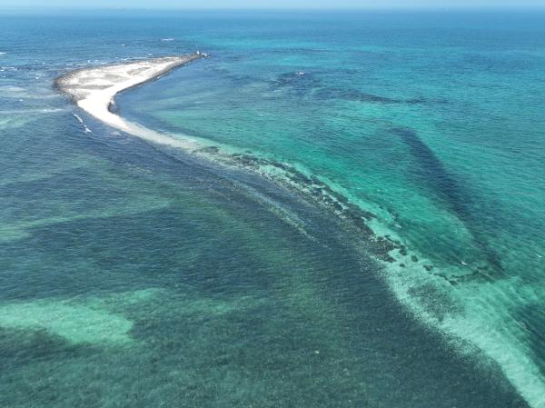 2023番黍仔尾嶼記錄