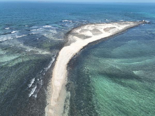 2023番黍仔尾嶼記錄