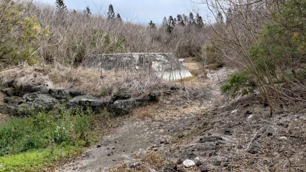 2023五德餌砲記錄