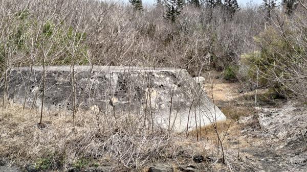 2023五德餌砲記錄